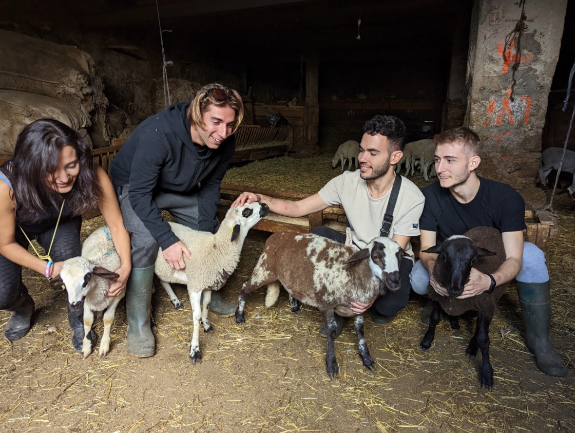 La actividad ‘¿Quieres ser pastor por un día?’ de Casa Chulilla de Villarroya acerca el mundo rural a urbanitas