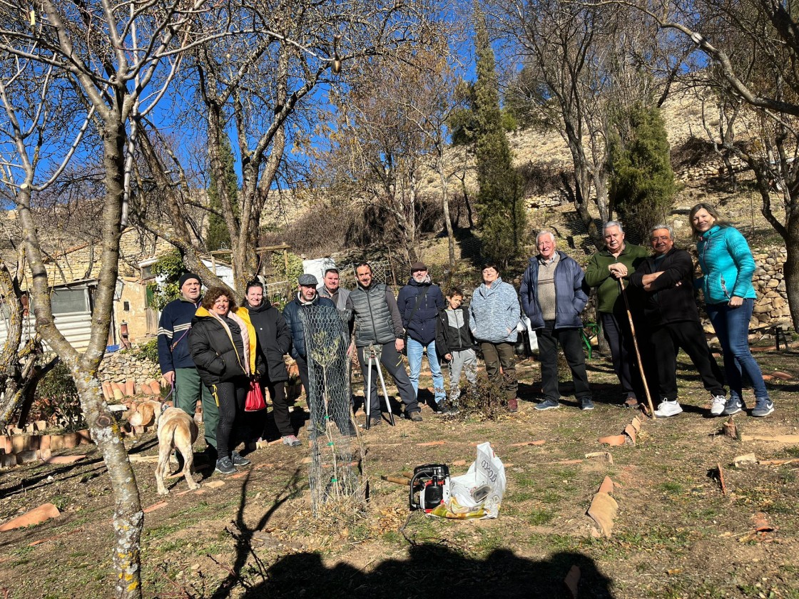 Éxito de participación en los talleres de escamonda de chopos en Bueña