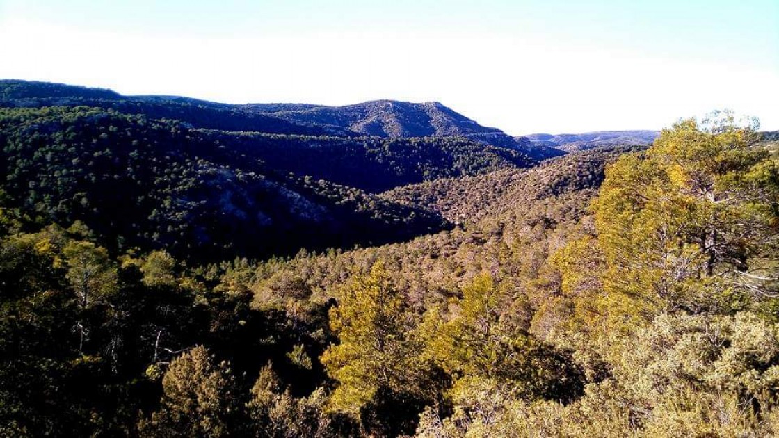 Luz verde del Inaga a los dos parques eólicos de Molinos, Castellote, Berge y Seno