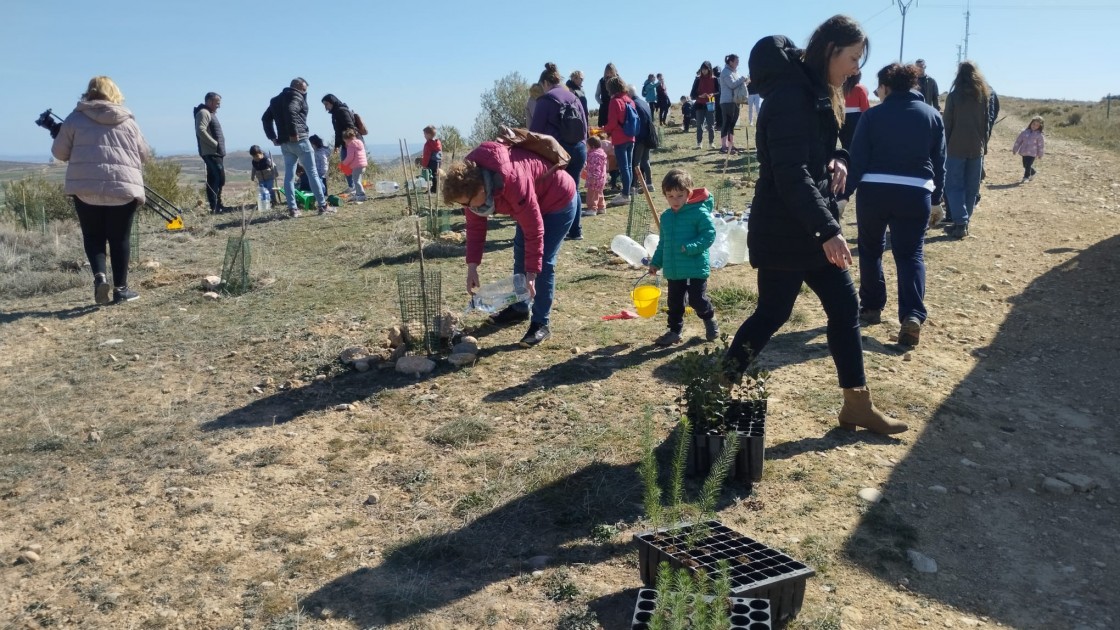 Andorra celebra el Día del Árbol con una plantada escolar y colectiva en San Macario
