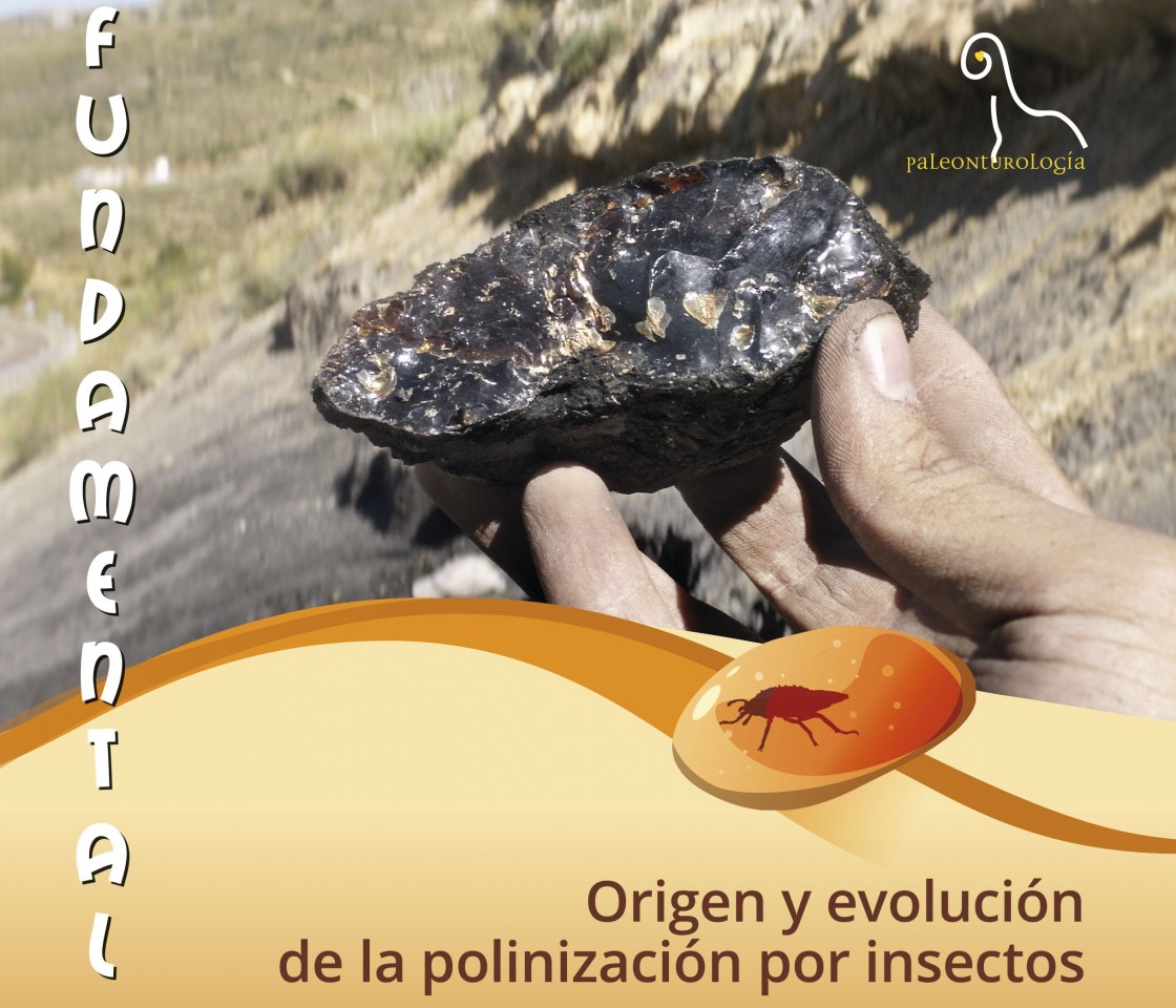 La Fundación Dinópolis divulga el resultado de las investigaciones ganadoras del Premio Paleonturología entre los institutos de Educación Secundaria