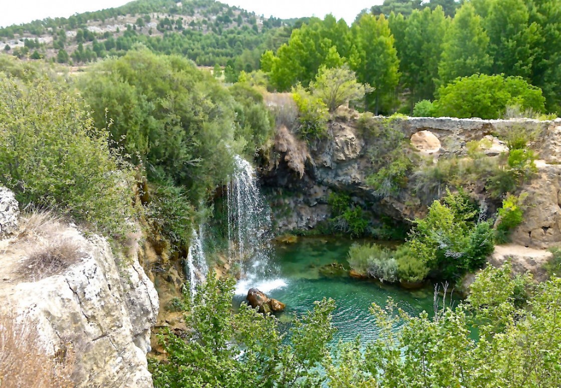 El Consejo de Gobierno aprueba la participación de la DGA en la Asociación de la Reserva de la Biosfera Valle del Cabriel