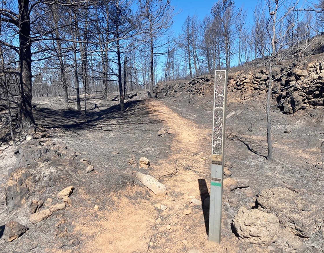 La red Enduroland confirma que el fuego ha afectado al 12,9% de sus recorridos