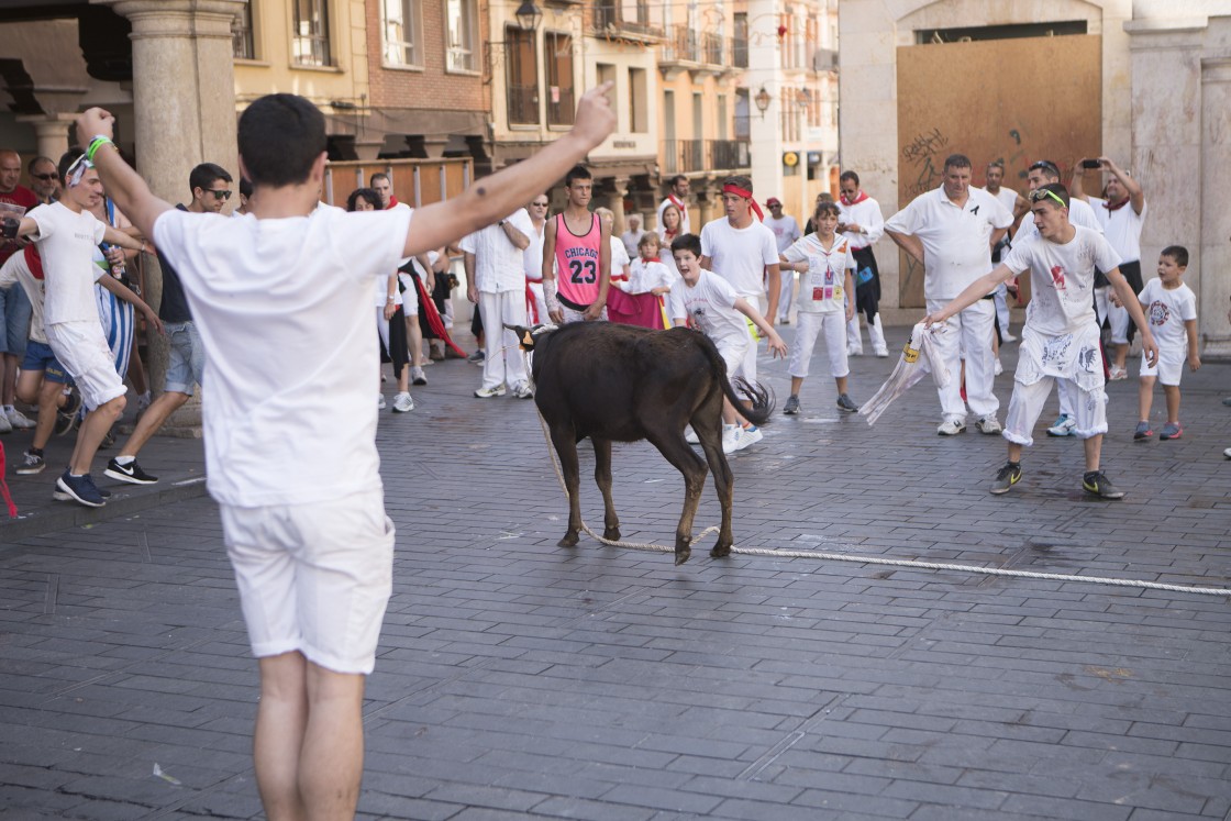 Los ensogados infantiles del lunes de La Vaquilla podrán volver a celebrarse tras las modificaciones normativas