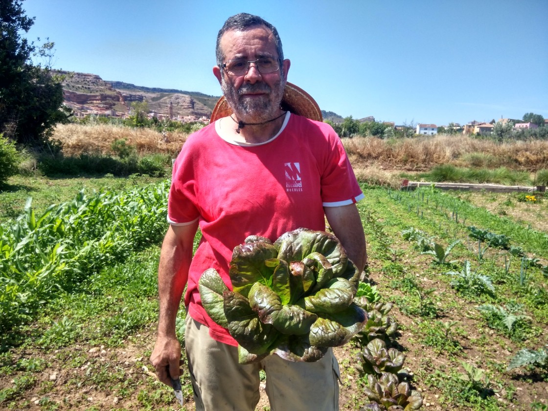 Teruel ha cultivado en la última década más de un centenar de legumbres y hortalizas autóctonas