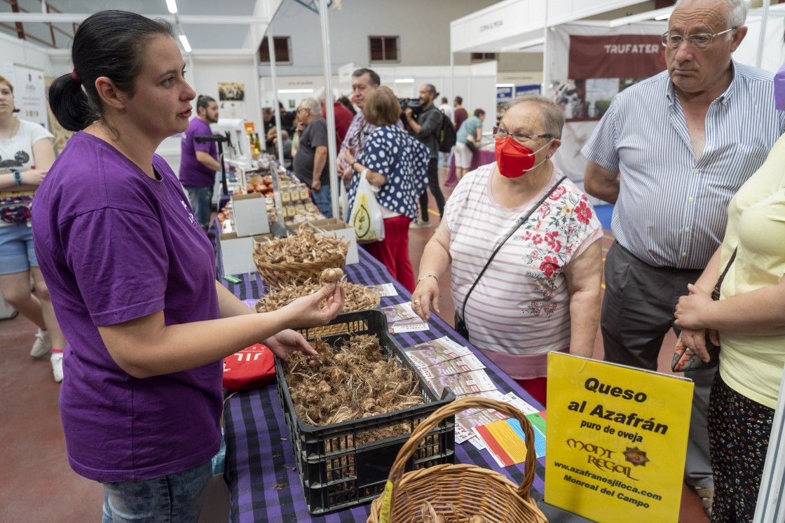 Monreal del Campo espera superar las 6.000 visitas en la III Feria del Azafrán