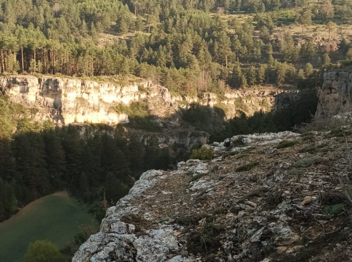 Frías de Albarracín proyecta dos tirolinas en el Barranco de la Hoz junto a los tauros y un bosque maduro