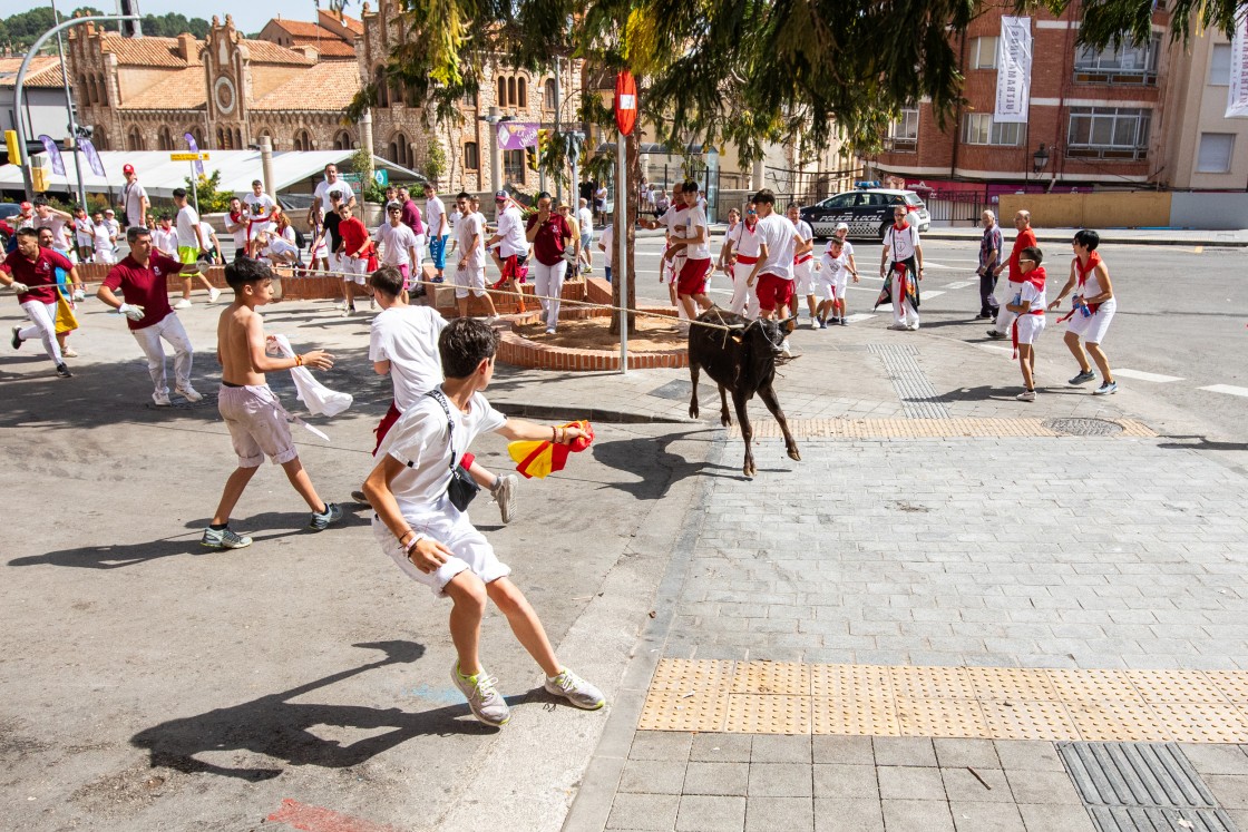 El público respalda con su presencia la vuelta de las vaquillas infantiles tras tres años sin poderse celebrar