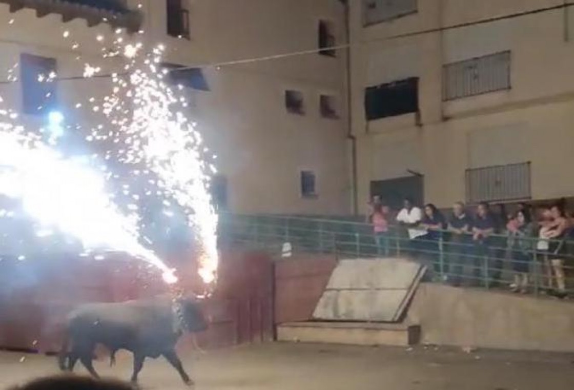 Denuncian irregularidades en la atención sanitaria tras sufrir la amputación parcial de un dedo en el toro embolado de Castralvo