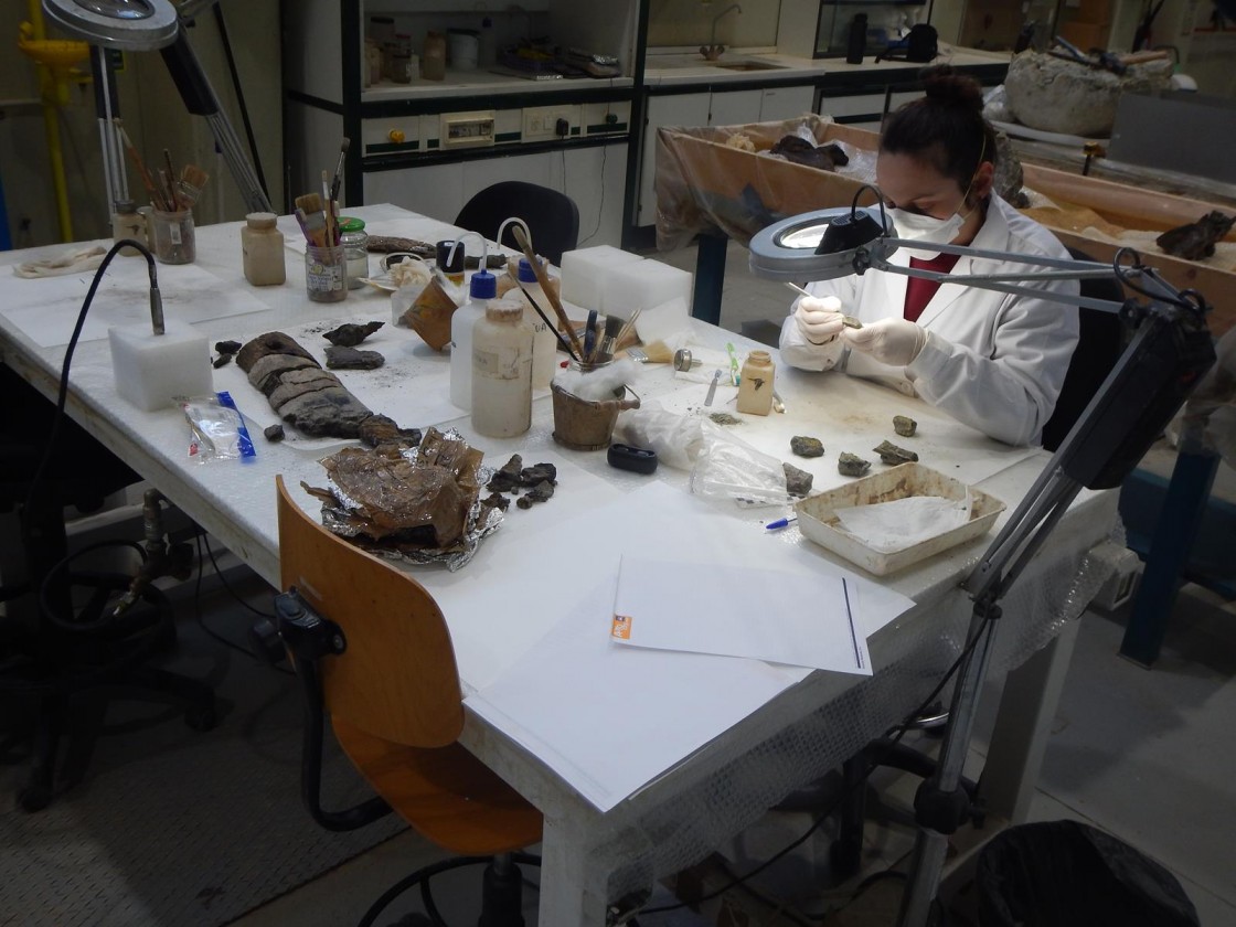 La Fundación Conjunto Paleontológico de Teruel Dinópolis-Teruel ha formado a más de 40 universitarios en dos décadas