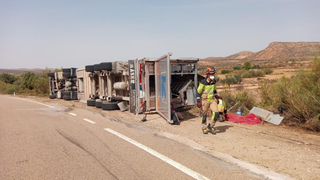 Los bomberos del parque de Alcañiz excarcelan a unos 200 cerdos atrapados tras el accidente de un camión