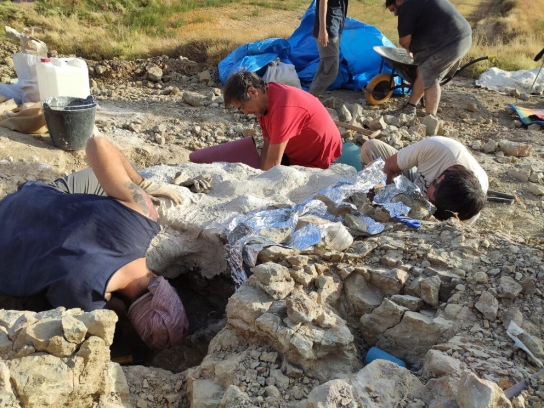 Nueva campaña de excavación en el yacimiento paleontológico de Alacón