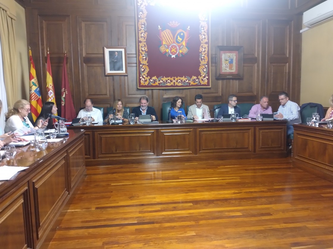Protectoras y vecinos estarán representados en el Consejo de Sanidad y Protección Animal de Teruel