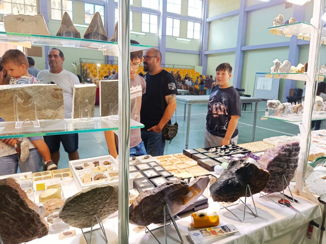 La Feria de Minerales, Gemas y Fósiles de Utrillas congrega a 3.000 personas