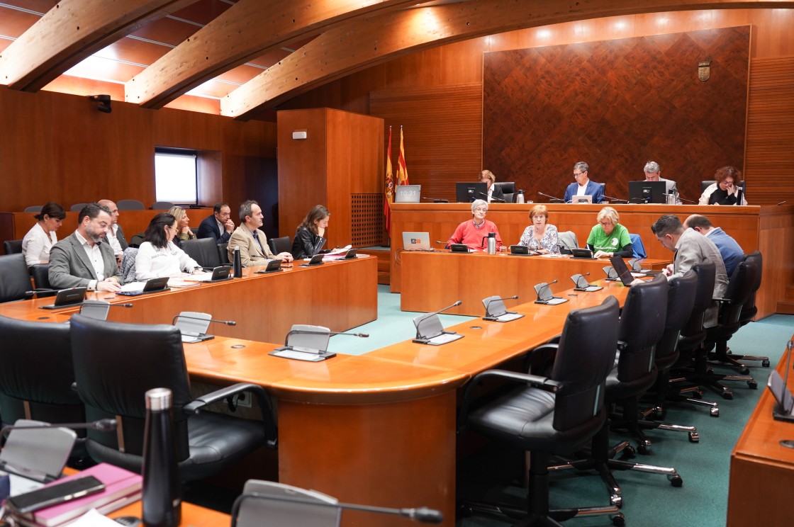 La asociación Acacia recibe el apoyo de las Cortes de Aragón para una ley de protección del arbolado urbano