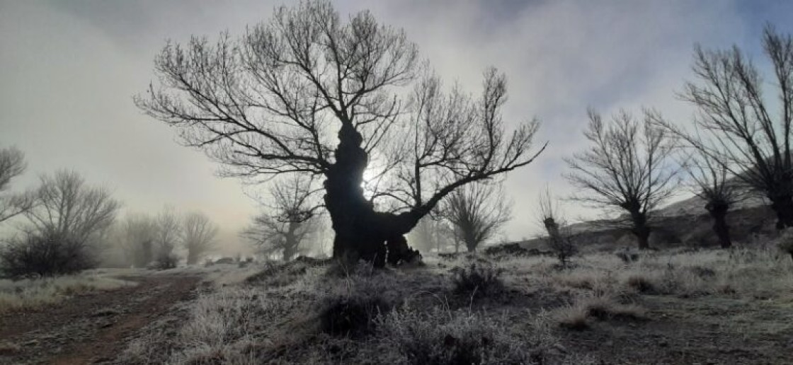 'Tinieblas' gana el premio fotográfico del Parque Cultural del Chopo Cabecero