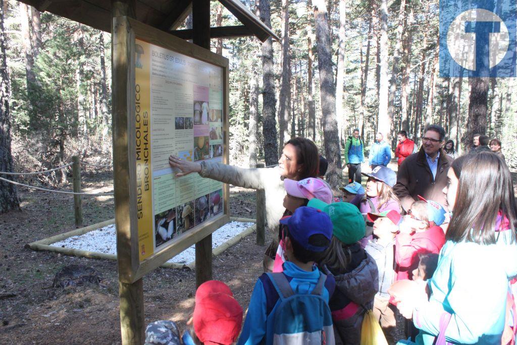 Pérez inaugura el sendero micológico  con fines didácticos en Bronchales