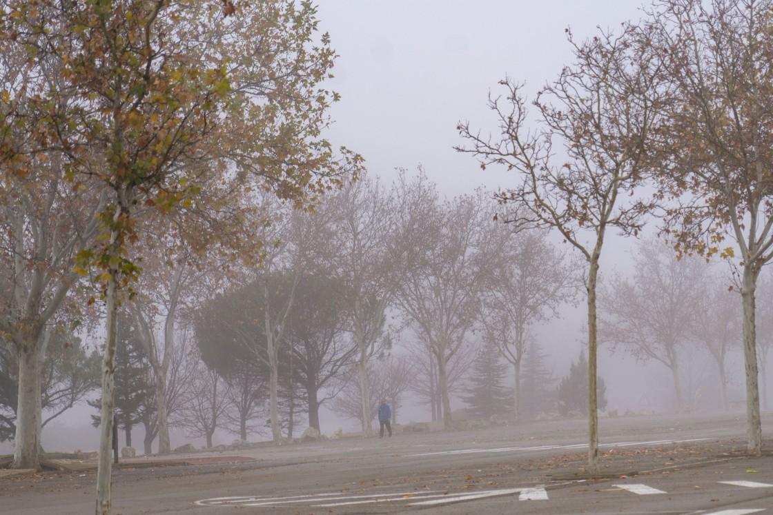 El invierno en Aragón se presenta cálido y con incertidumbre en cuanto a las precipitaciones