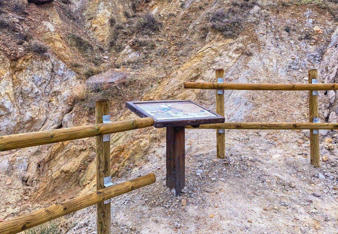 El Parque del Río Martín recupera y pone en valor el árbol fósil de Ariño