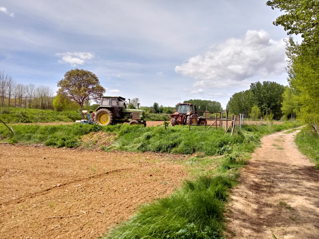 SOS Rural plantea trece reivindicaciones y dieciocho propuestas concretas para salvar el territorio