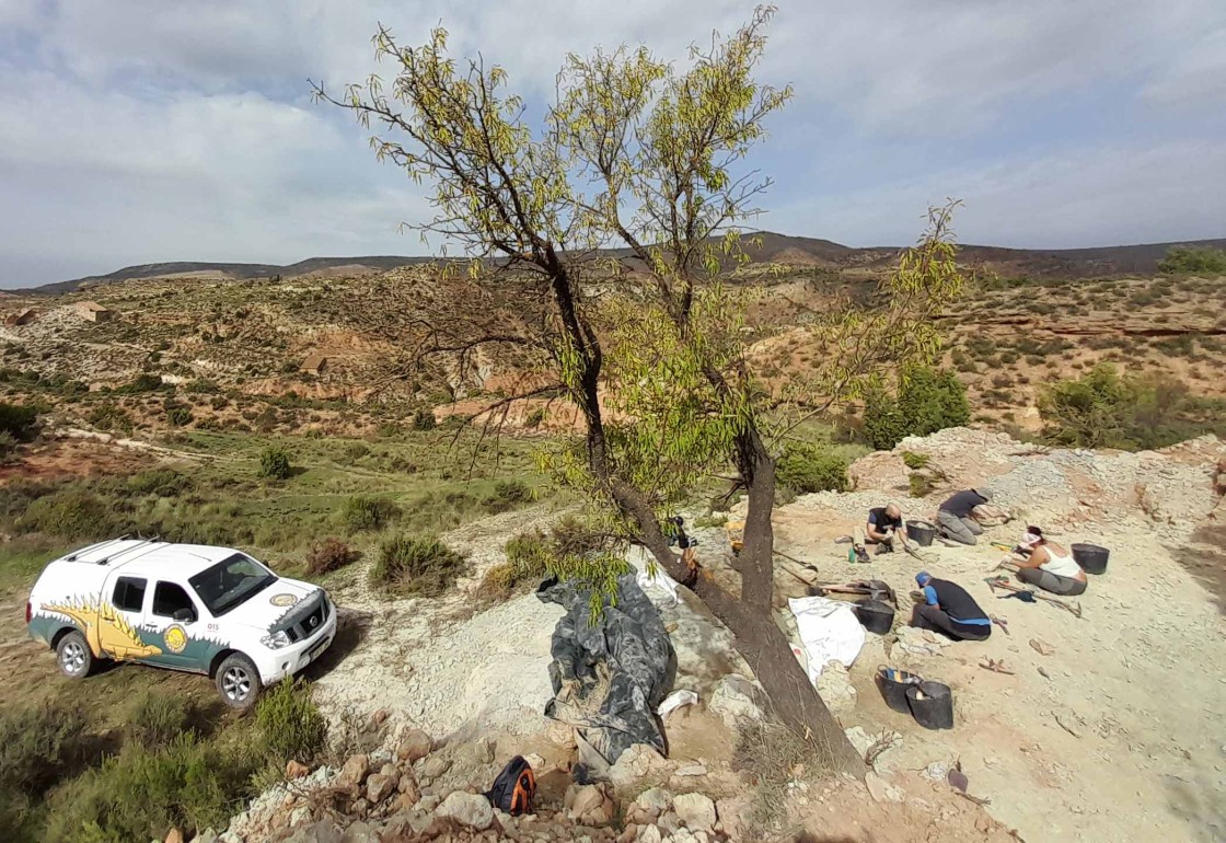 Riodeva acogerá las excavaciones del curso de paleontología de la Universidad de Verano