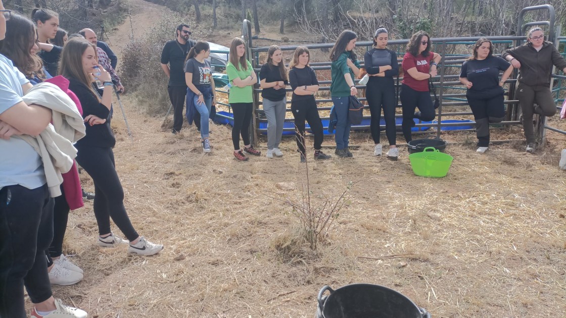 Unos treinta de futuros ganaderos aprenden en Olba cómo ayuda el ganado a limpiar el monte