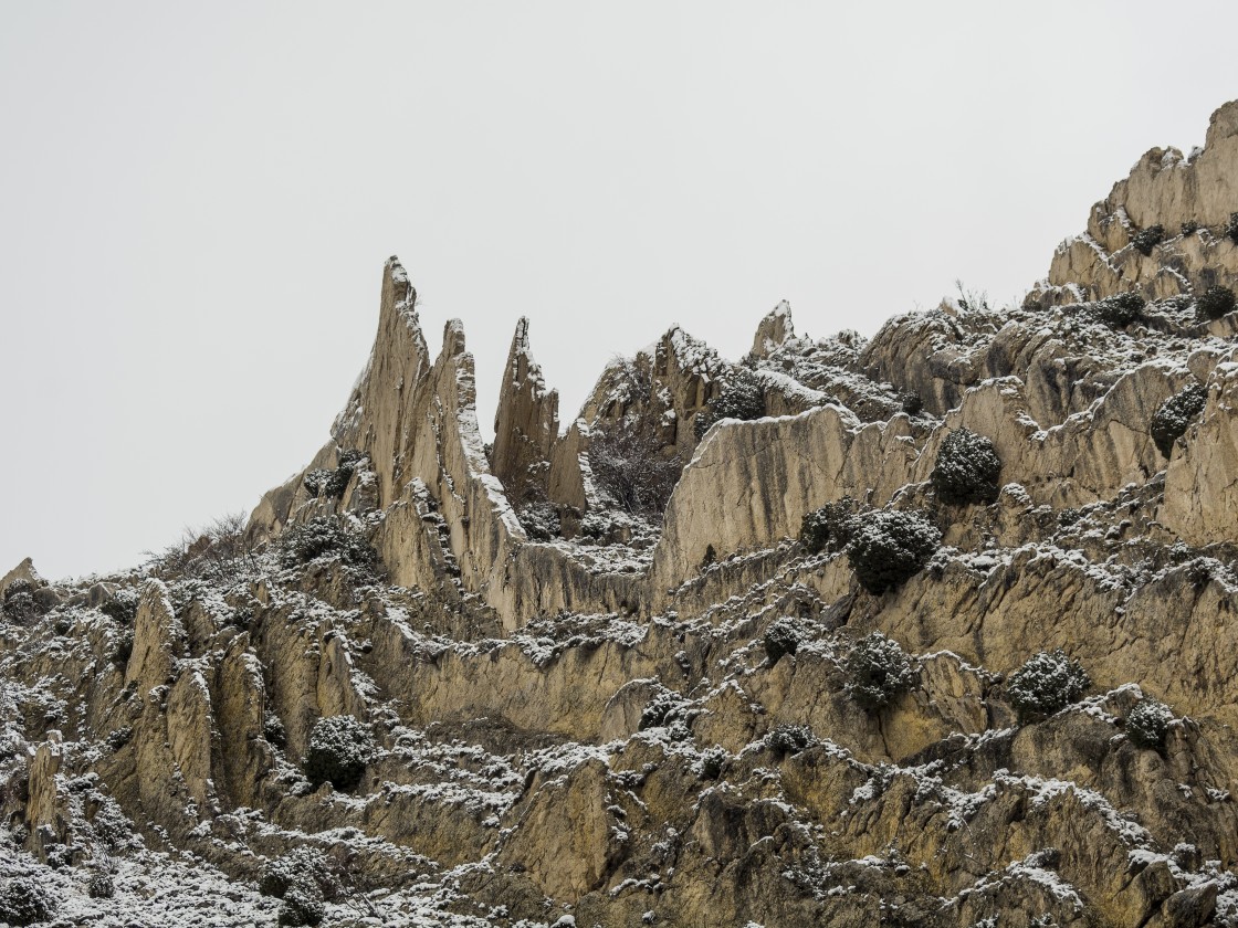 Los profesores de geología, inquietos por la continuidad  de su asignatura