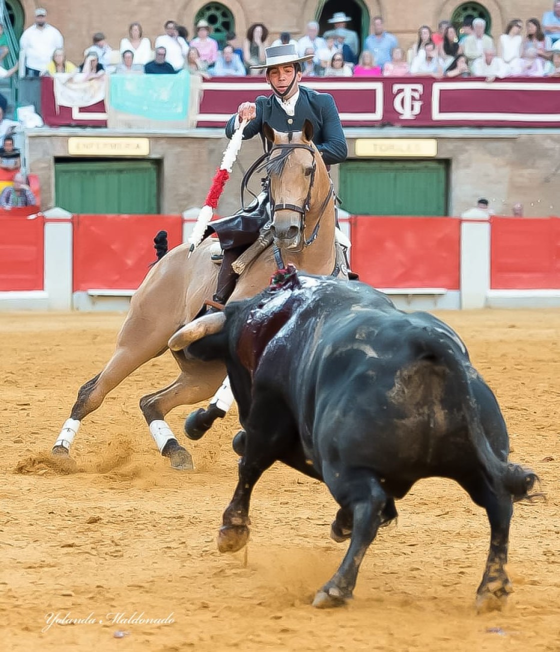 Sebastián Fernández, rejoneador: “Teruel me hace muchísima ilusión, llevo la moral muy alta, y una preparación intensa”