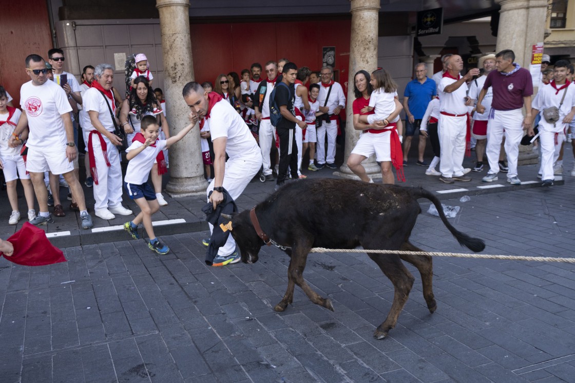 Emociones, carreras y recortes en la Vaquillas ensogadas