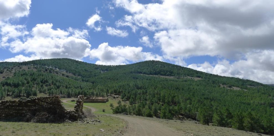 El proyecto Reconecta sobre terrenos forestales se presenta este martes en Teruel