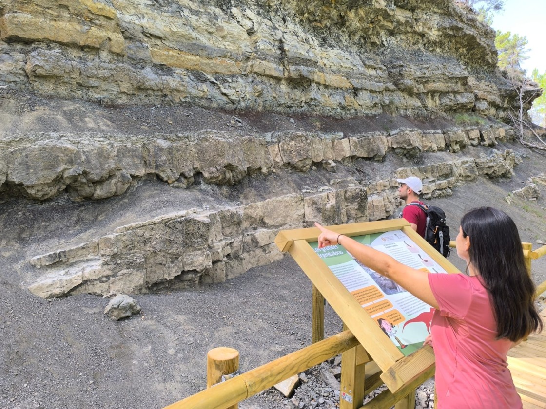 Alcalá de la Selva estrena un yacimiento en el que los visitantes pueden ver huellas de dinosaurios con las impresiones de su piel