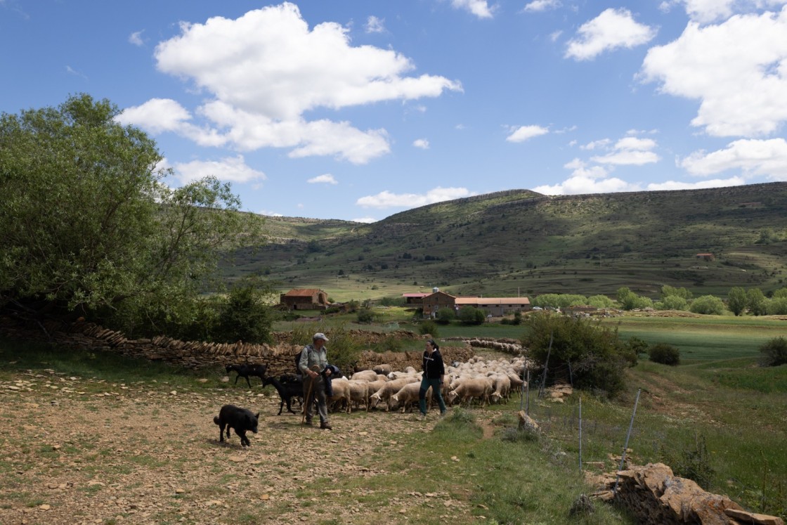 Cantavieja acogerá un curso de la UVT sobre el reto del patrimonio masovero