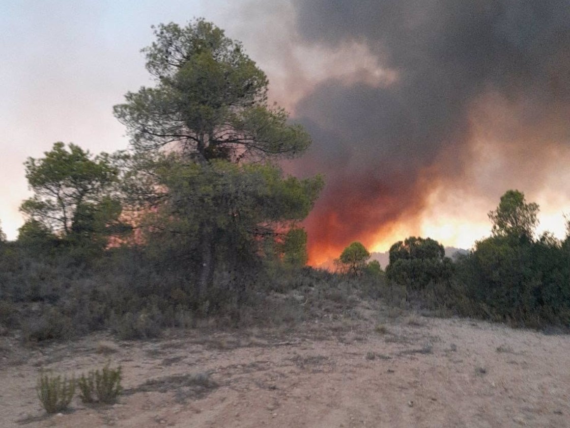 Extinguido el incendio de Calanda tras calcinar 4,7 hectáreas