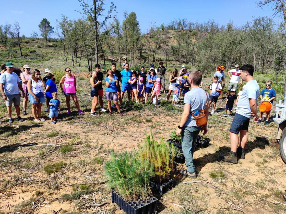 San Agustín difunde los efectos del cambio climático en las masas forestales