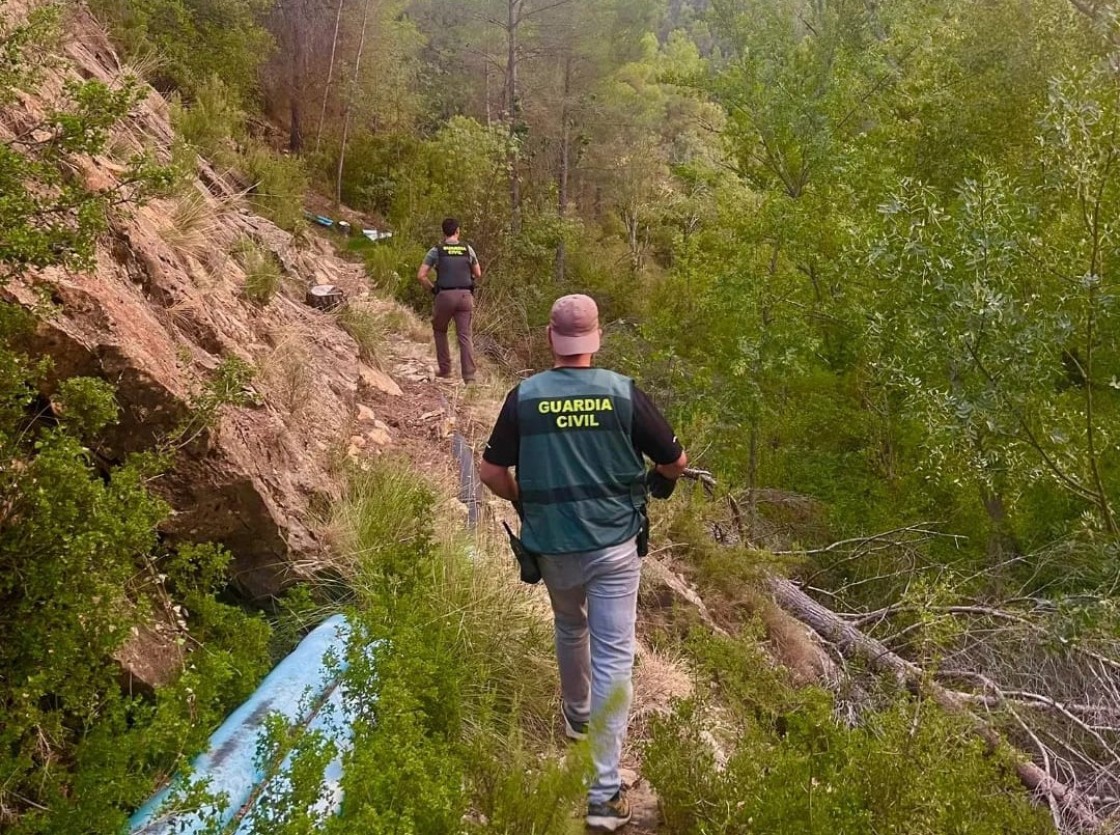 La Guardia Civil desmantela una plantación con 1.630 plantas de marihuana en el entorno del pantano de Santolea con un detenido