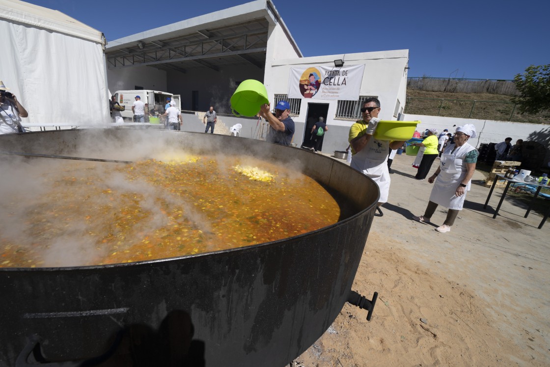 La recolección de la patata de Cella doblará las toneladas que dio 2023