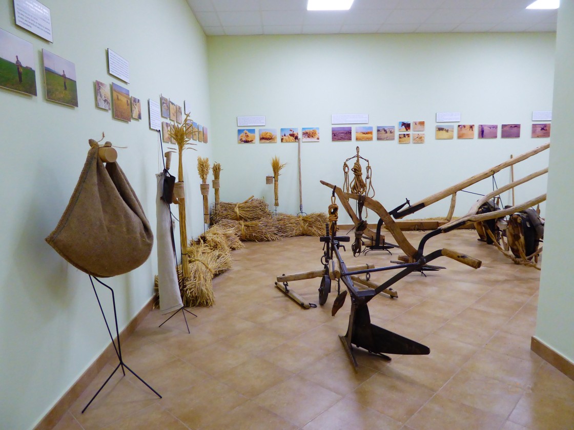 Dos salas de exposiciones abren sus puertas  en Torrijo del Campo