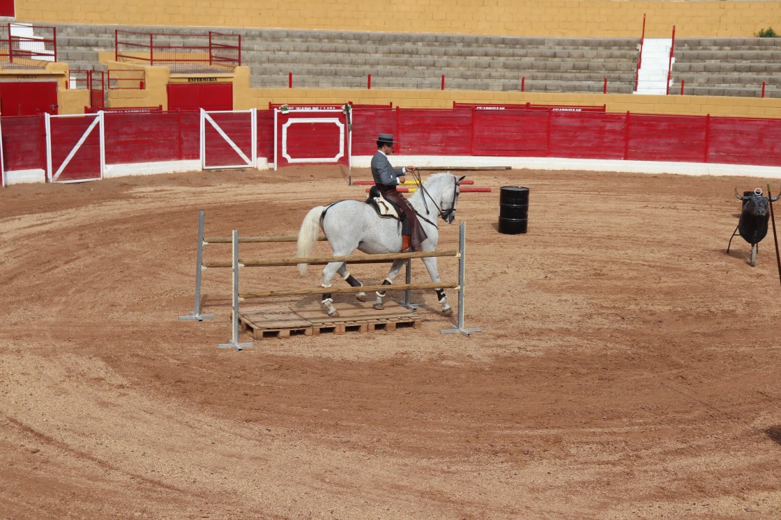 La VII Feria del Caballo de Santa Eulalia congregó a multitud de aficionados