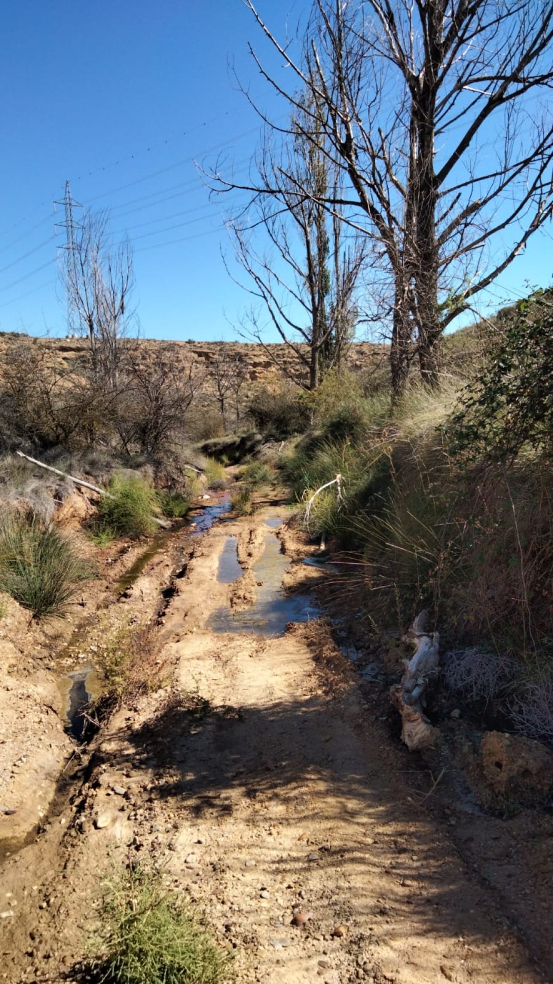 Unos informes muestran la alta salinidad del agua que se vierte en Concud