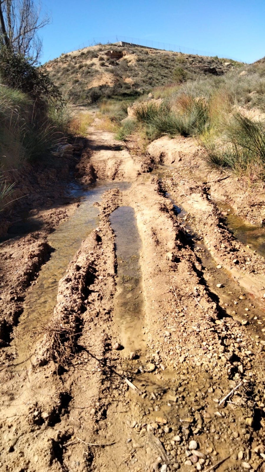 El Ayuntamiento encargará un estudio olfatométrico si continúa la actividad de las balsas de Concud