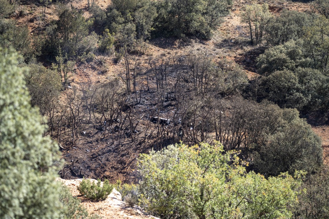 El teniente coronel Pablo Estrada fallece al estrellarse en Peralejos el F-18 del Ala 12 que pilotaba