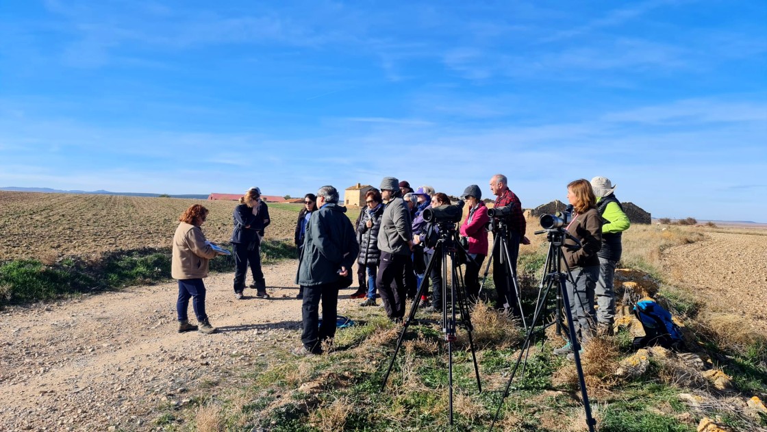 La laguna de Gallocanta se prepara para la llegada de las grullas