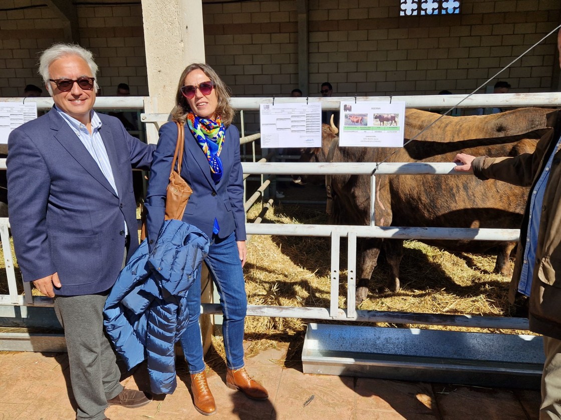 Rincón destaca la dimensión de la Feria Agrícola, Ganadera y Forestal de Cedrillas y su unión de tradición y vanguardia