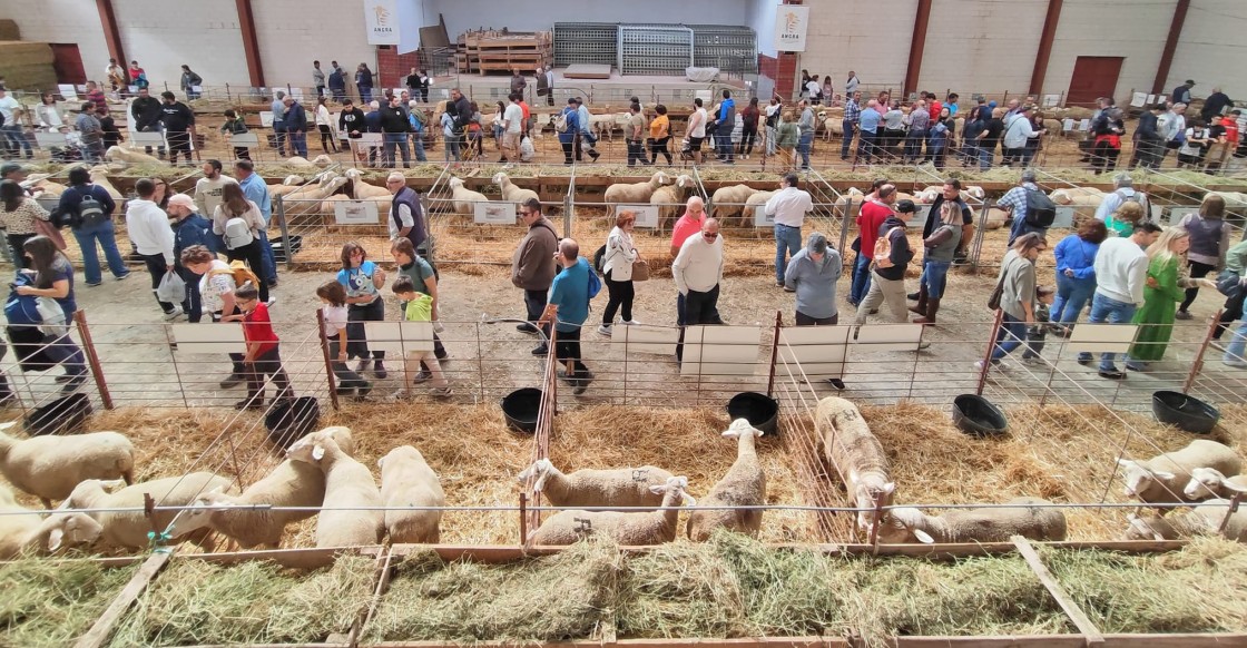 Cedrillas aúna tradición y vanguardia para favorecer la rentabilidad del sector agrario