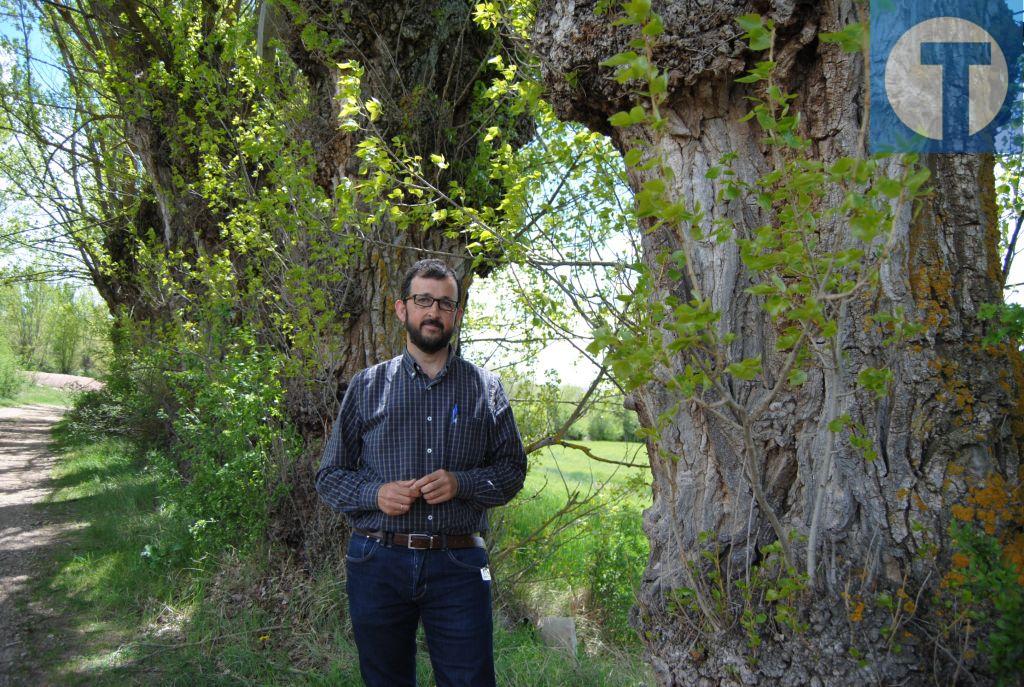 Chabier de Jaime: “El paisaje otoñal del  chopo cabecero tiene  que ser una marca turística”