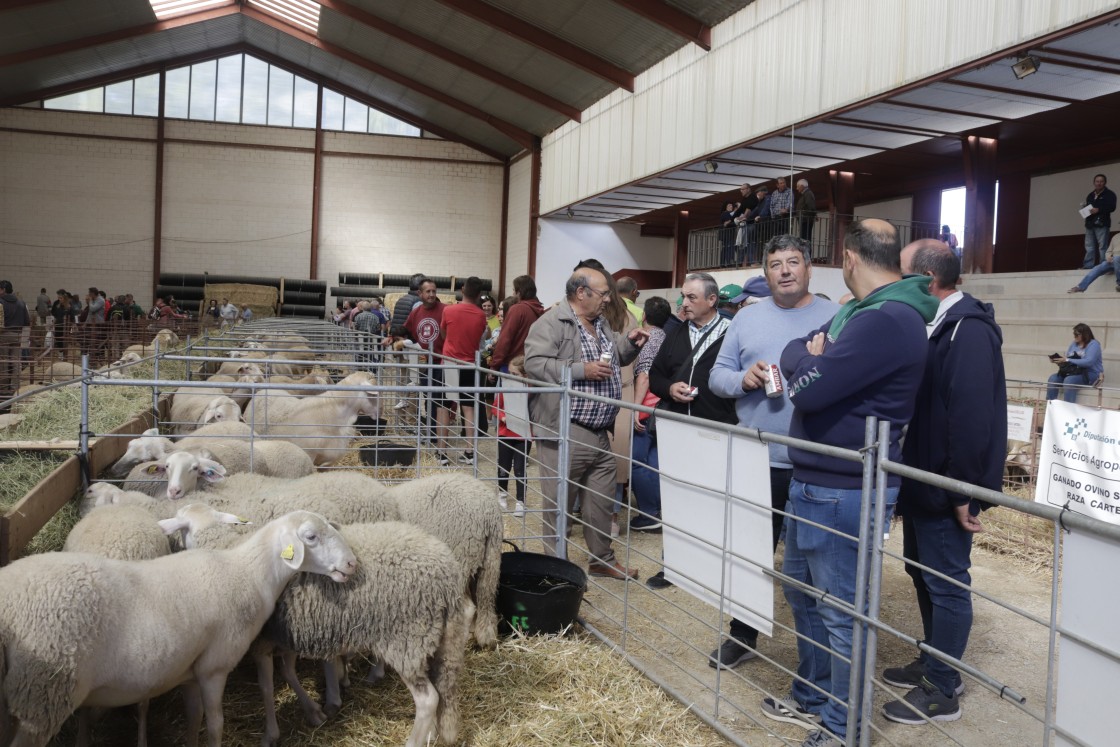 La Feria de Cedrillas se mantiene como cita indispensable para el sector agro