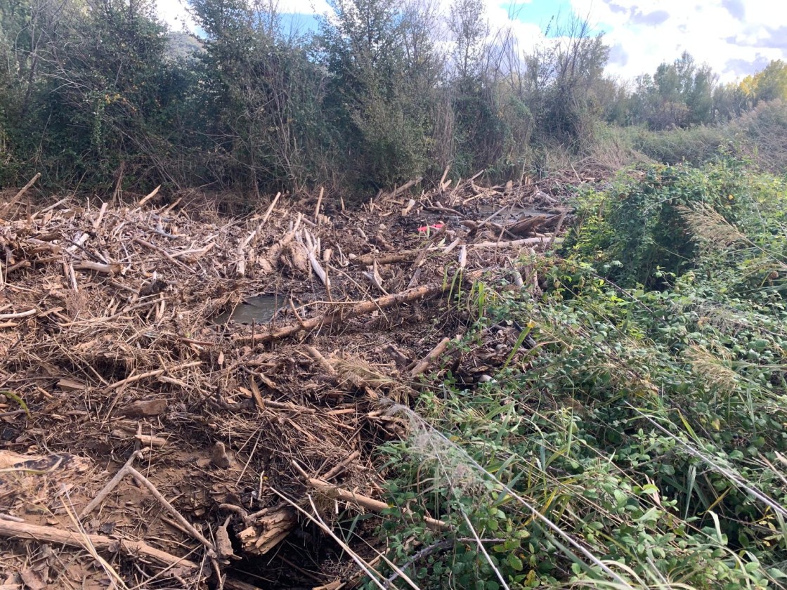 Hallan un tapón de más de 250 metros  en el río en el término municipal de Báguena