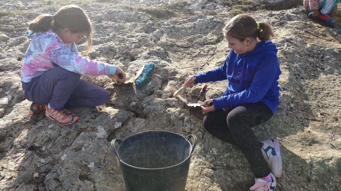 Escolares del CRA de Cedrillas participan en una actividad científica de la Fundación Dinópolis en un yacimiento de icnitas de dinosaurio