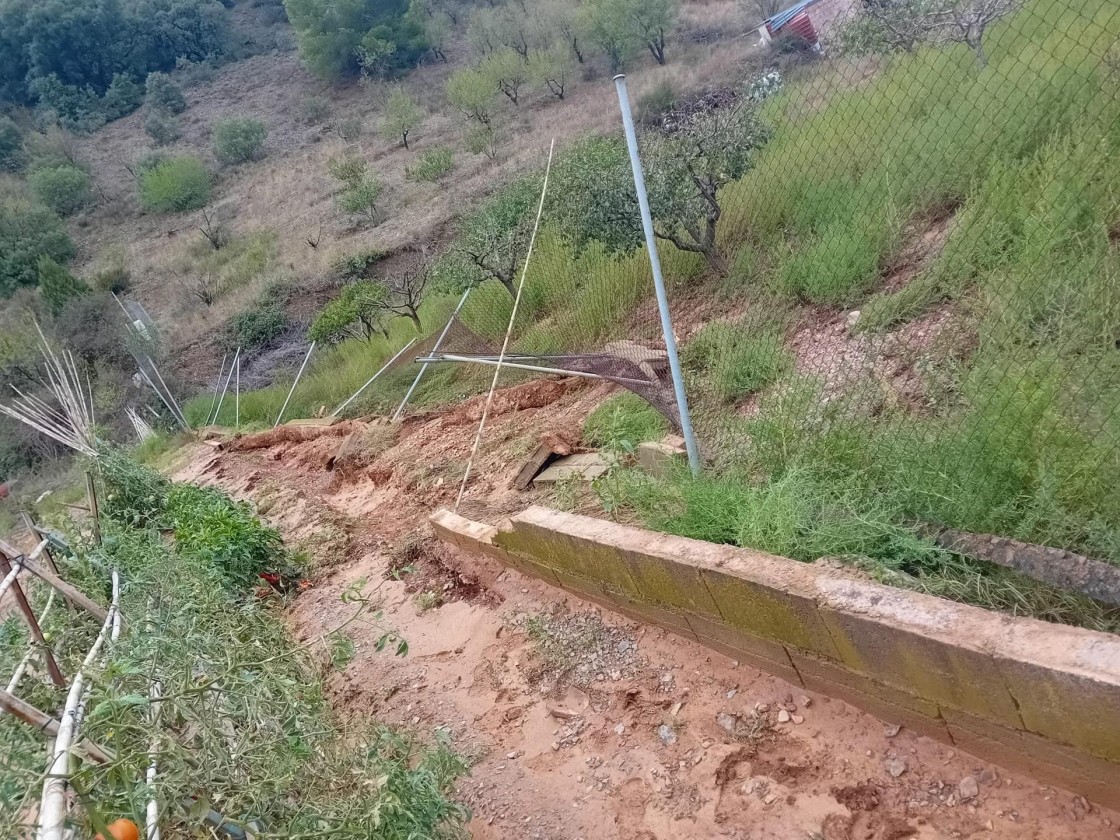 Agricultores y ganaderos de Báguena reclaman soluciones 