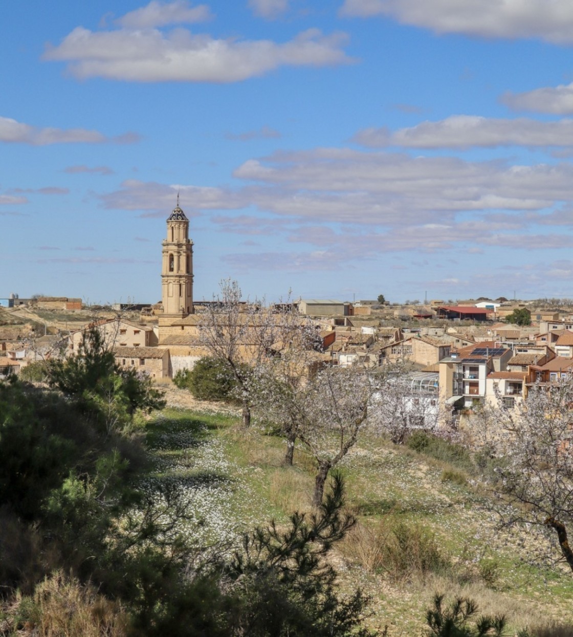 El Ayuntamiento de Torrecilla de Alcañiz pide precaución tras el intento de robo en una casa